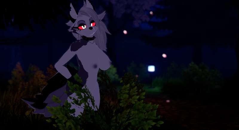 (Photo) Nighttime Creatures