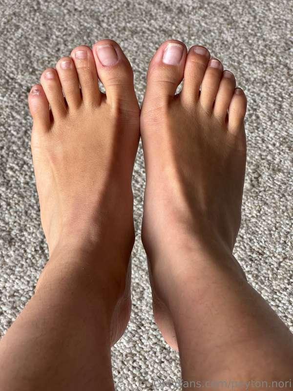 peyton.nori image #4