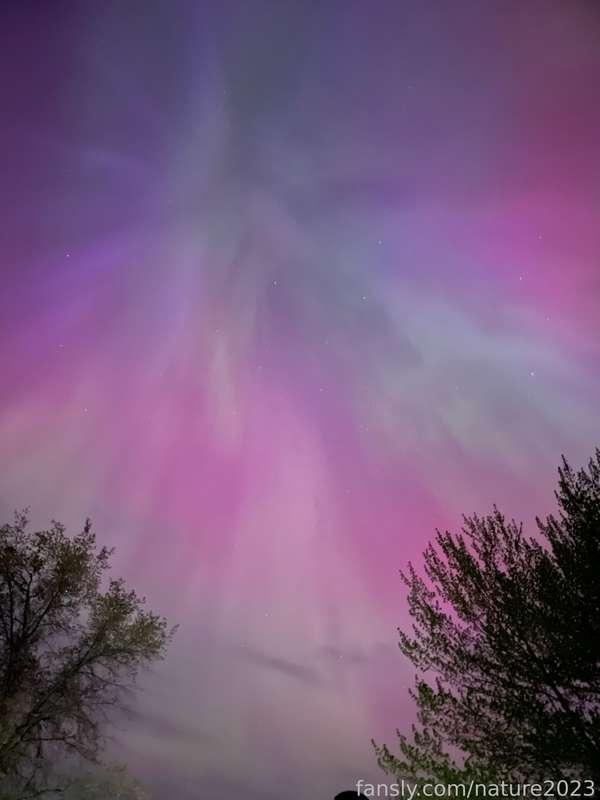 nature2023 image #7