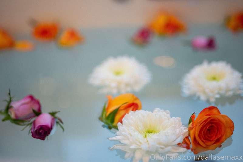 dallasemaxx image #0