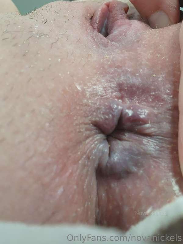 novanickels image #3