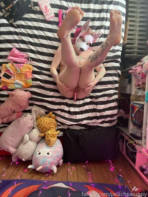 peachpwuppy image #18
