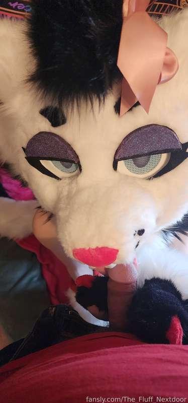 the_fluff_nextdoor image #5