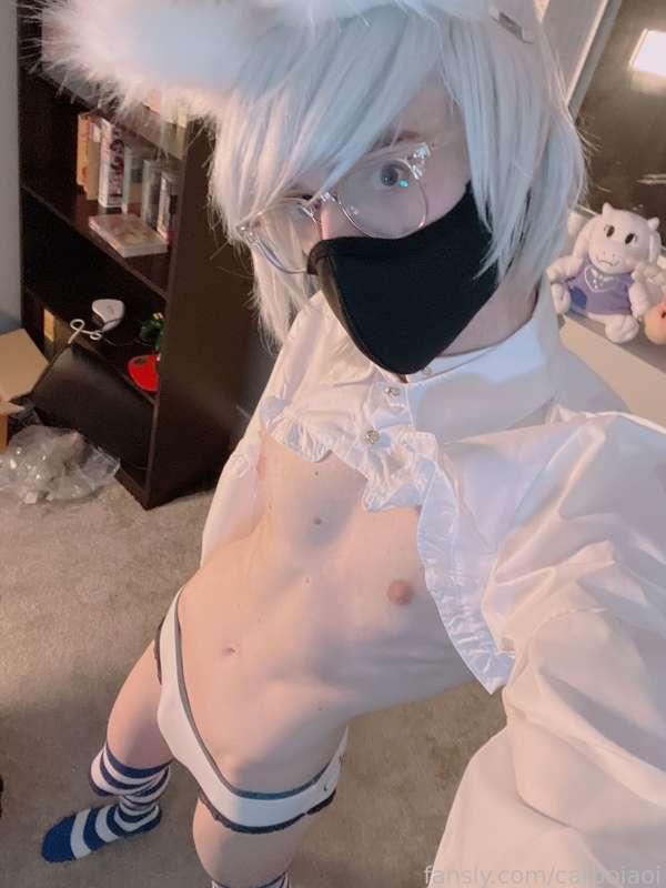 catboiaoi image #6