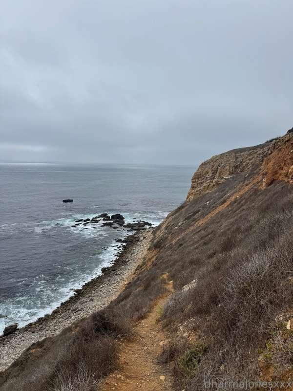 dharmajonesxxx image #9