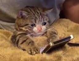 While my main page is down tip $10 on this post and I’ll sen..