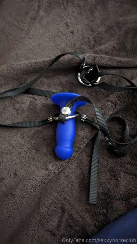 Been a good while since I gave a good pegging. Wanna come si..