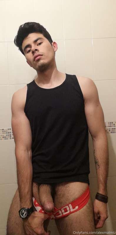 alexmalmtz image #0
