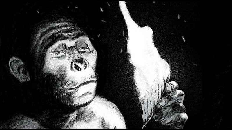 Monkey Business