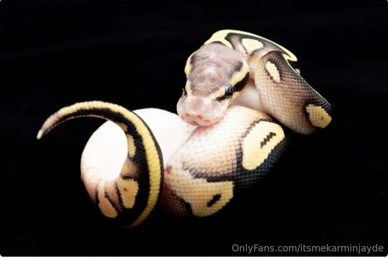 Hoping to get this little one soon, would love to create con..