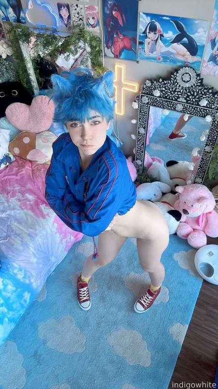 indigowhite image #211
