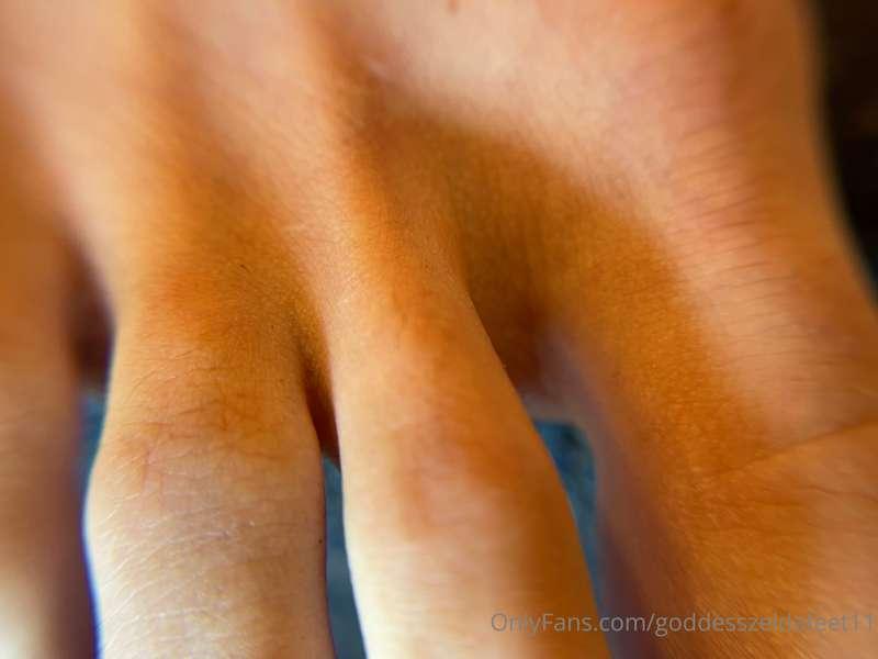 goddesszeldafeet11 image #1