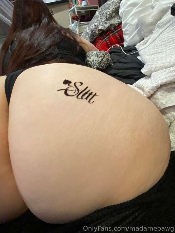 madamepawg image #12