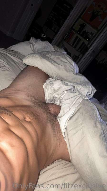 fitzexclusive main image