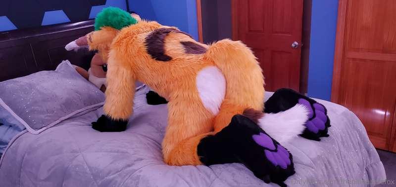 thepineapplefox image #0