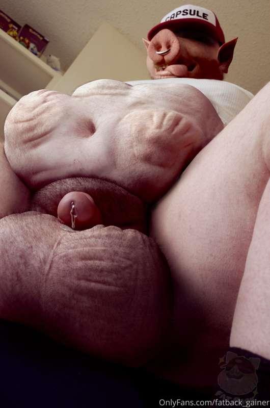 fatback_gainer image #7