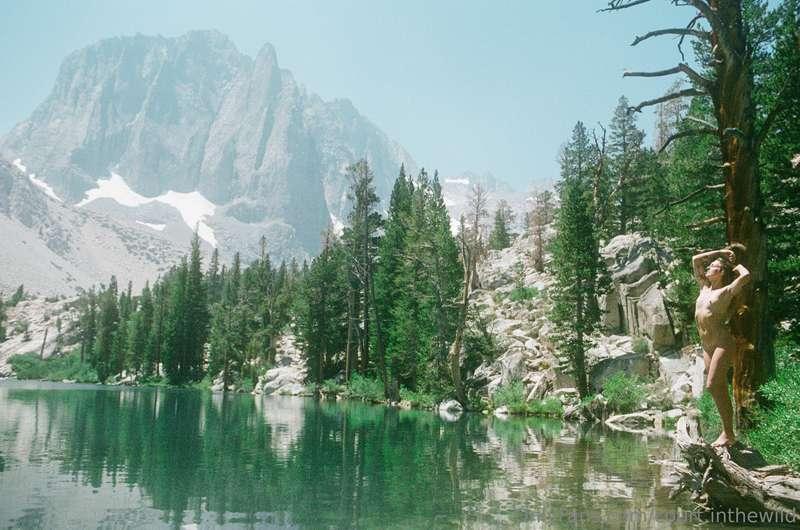 court.inthewild image #15