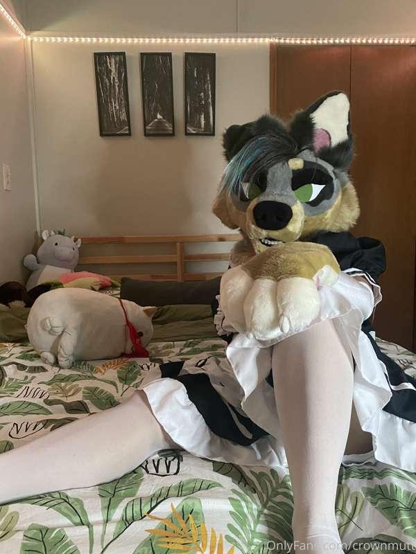 This maid is ready to clean & have some fun with your dick a..