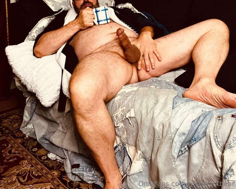 m1dwestbear image #2