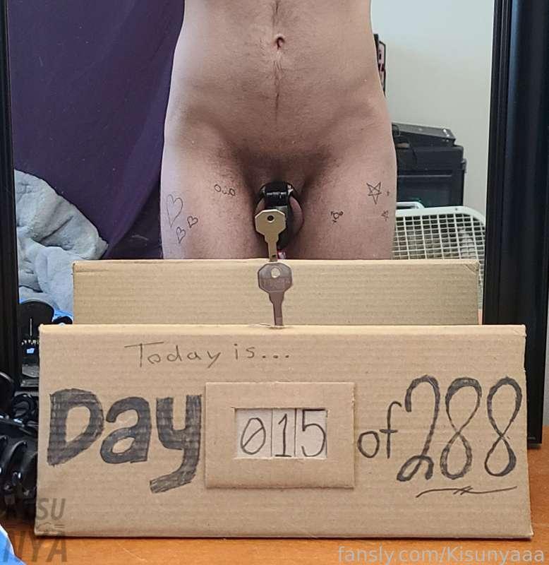 kisunyaaa image #1
