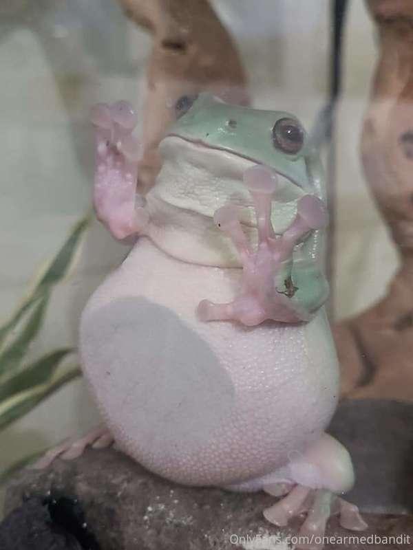 Me waiting for the grubhub driver