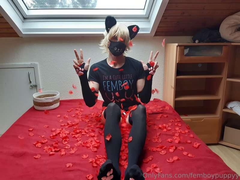 femboypuppyy image #3
