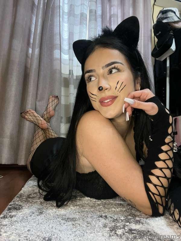 Like my new outfit? 😺