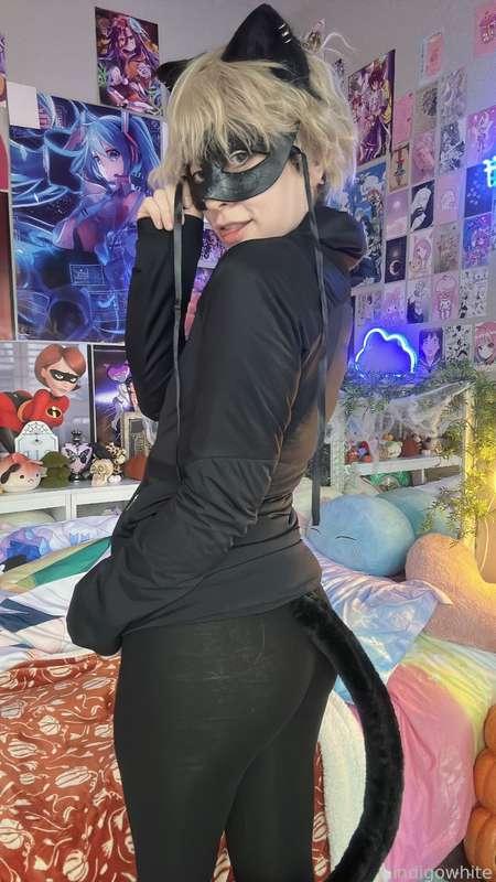 indigowhite image #103