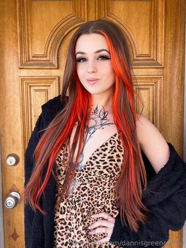 🐆🐆🐆✨