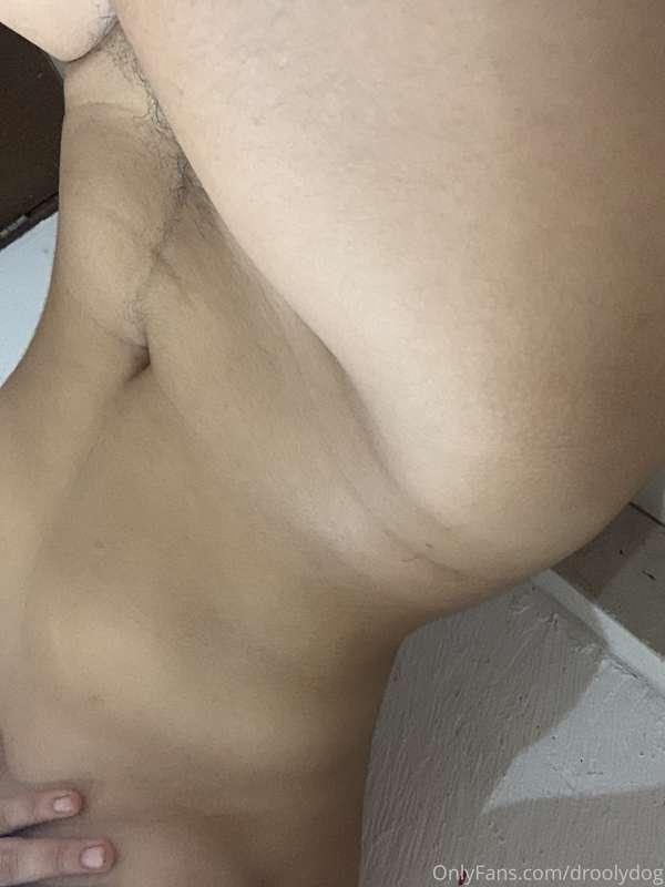 droolydog image #2