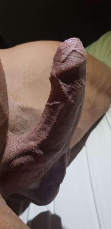 Veiny hard  cock