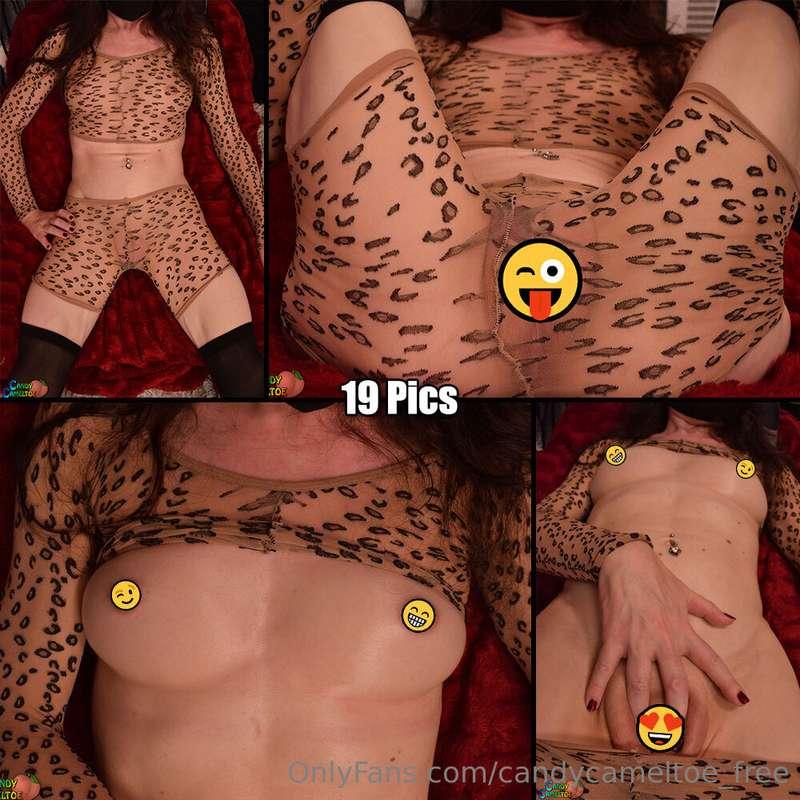 I just plopped this yummy pics set down at @candycameltoe so..