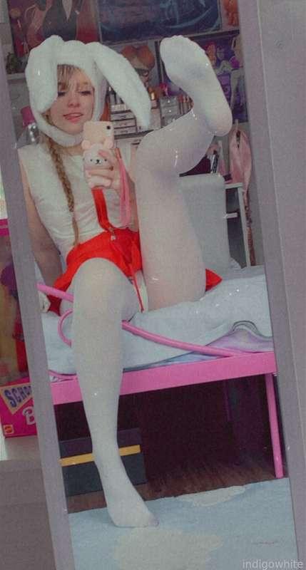 indigowhite image #75