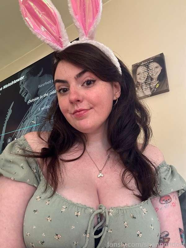 shannondorf image #5