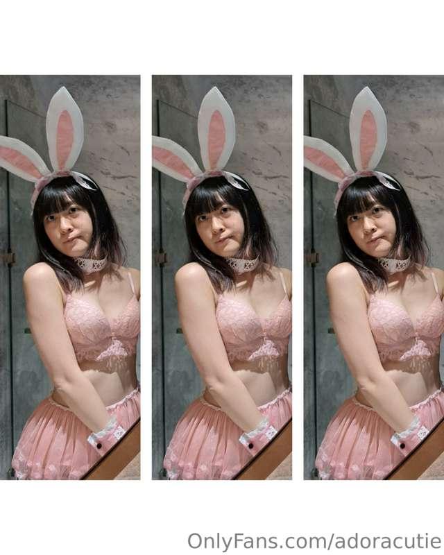 Bunny 🩷🩷🩷🩷