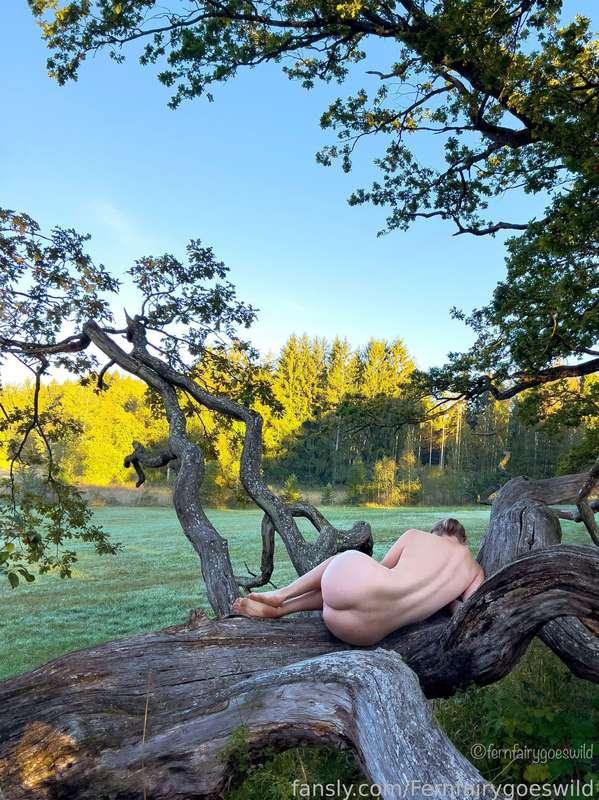 One morning while I had my stomach bug in Germany I still managed to somehow get up early to try to find some foggy to take photos in but instead I found this amazing fallen oak tree…. More to come...

#fyp #artistic #artsy #nature #natural #naturist #nudist #naked #nude #butt #curvy #curves #fit #outdoors