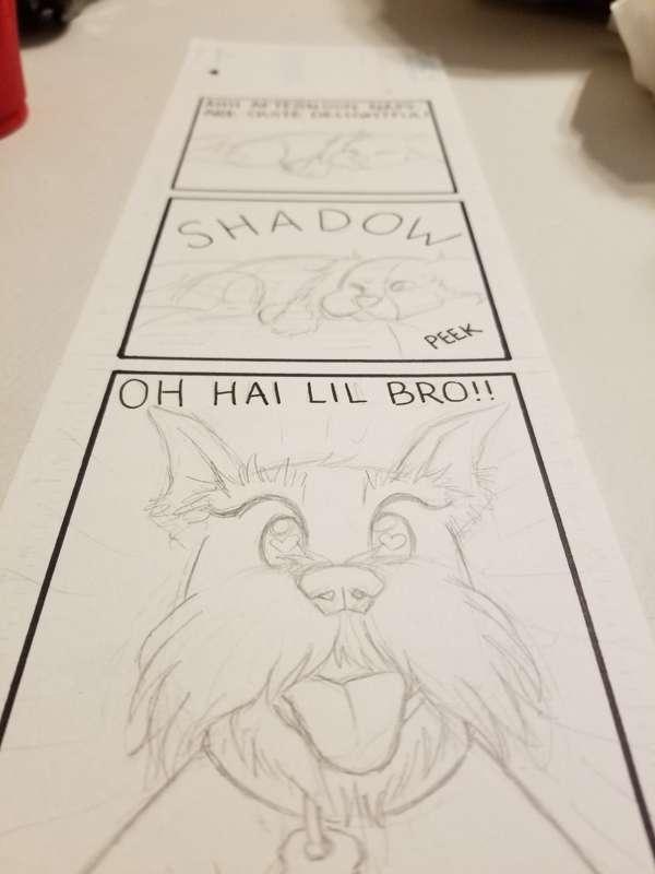 New page!