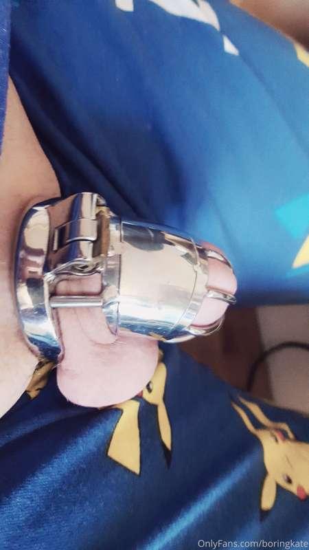 Random Selfies: Bundle 11 (all chastity)
