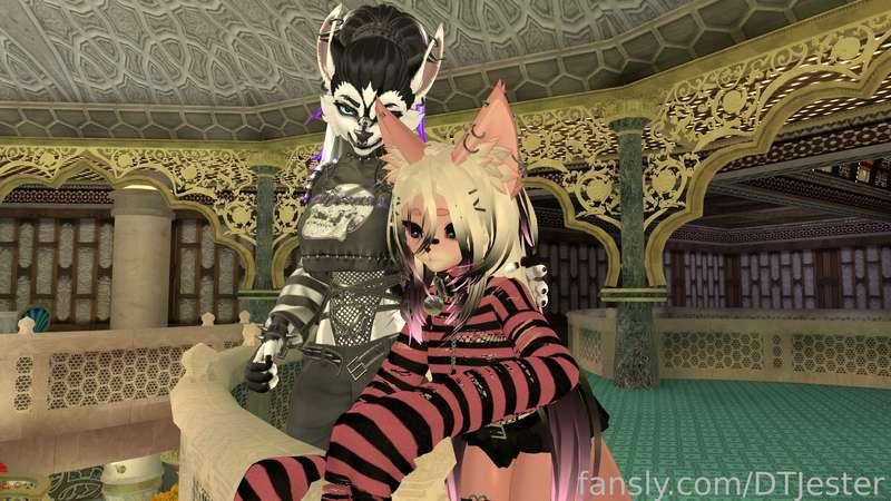 dtjester image #6