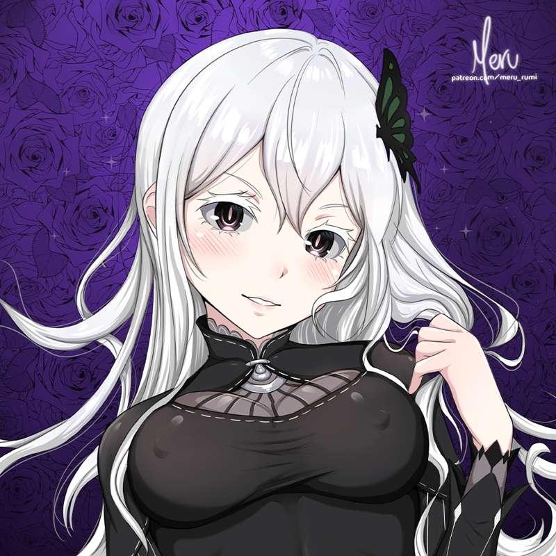 Echidna