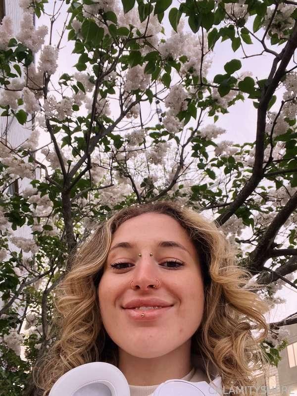 calamityshere image #4