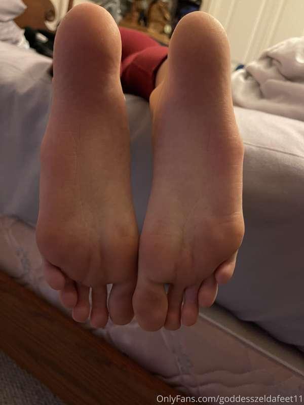 goddesszeldafeet11 image #2