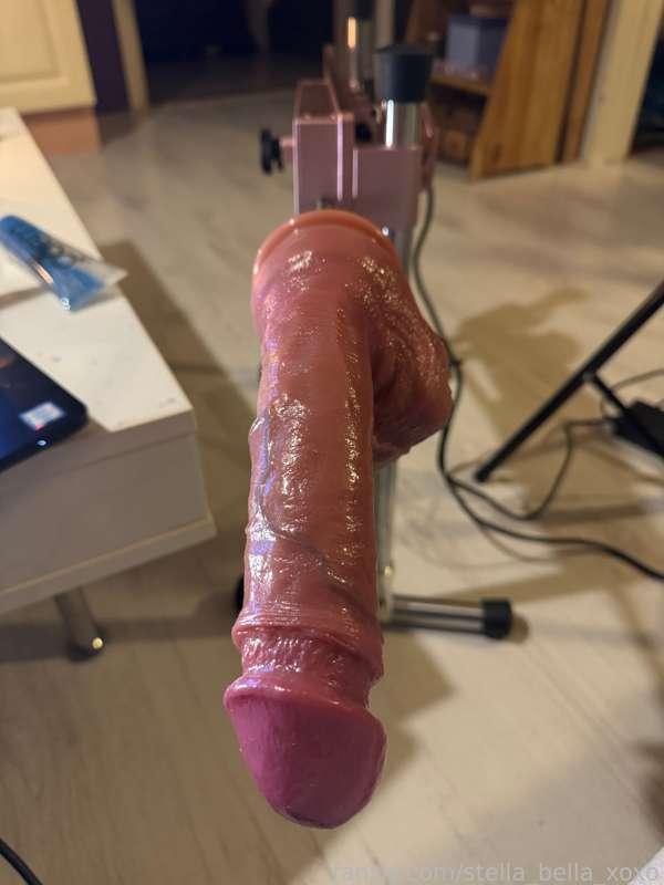 stella_bella_xoxo image #0