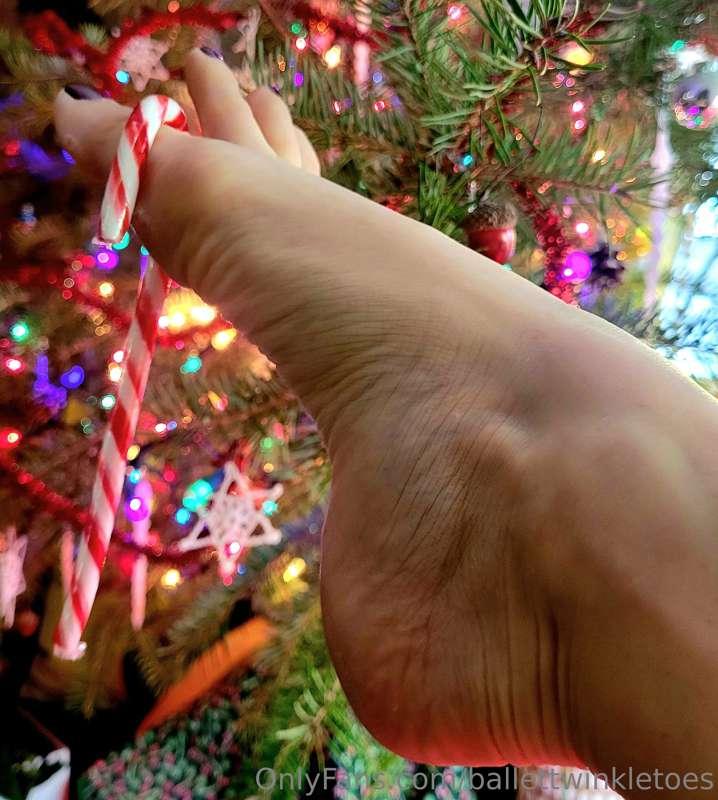 I used to eat SO many candy canes. Butterscotch was my favor..