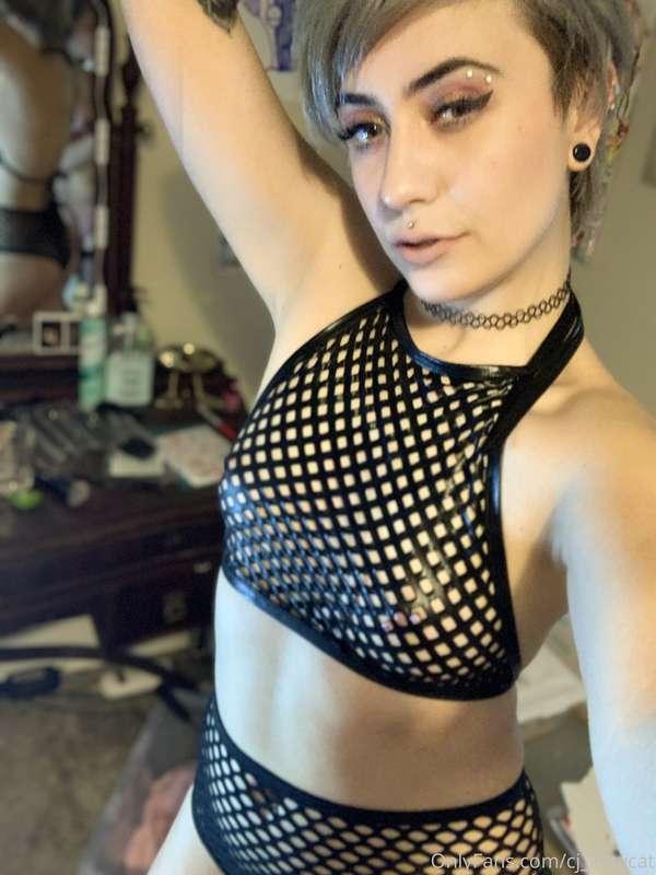 cj_kittycat image #2