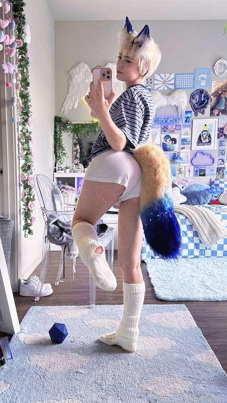 indigowhite image #15