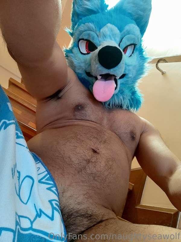 naughtyseawolf image #0