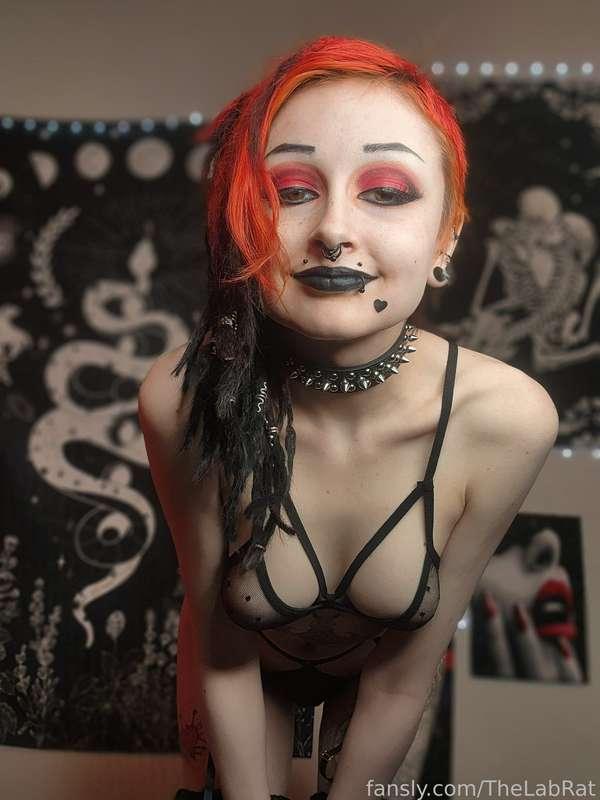 thelabrat image #3