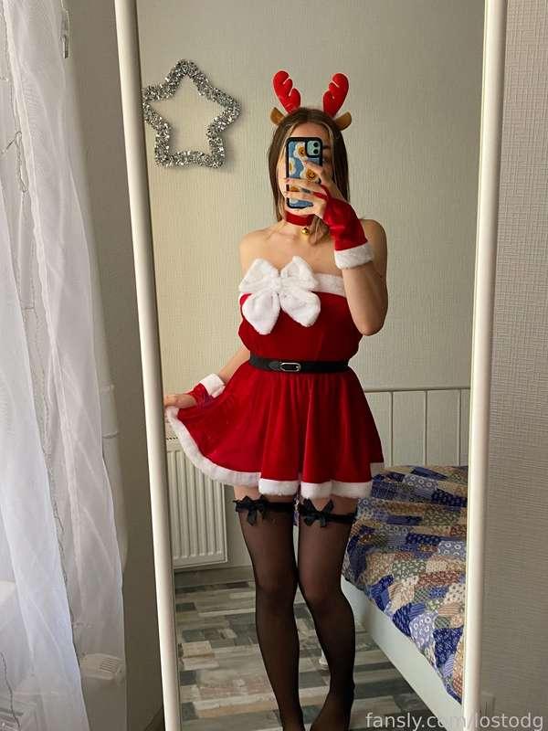lostodg image #11