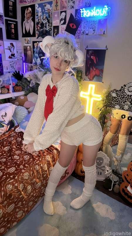 indigowhite image #121